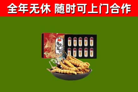古交市烟酒回收冬虫夏草礼盒.jpg